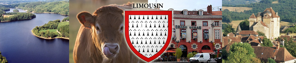 limousin